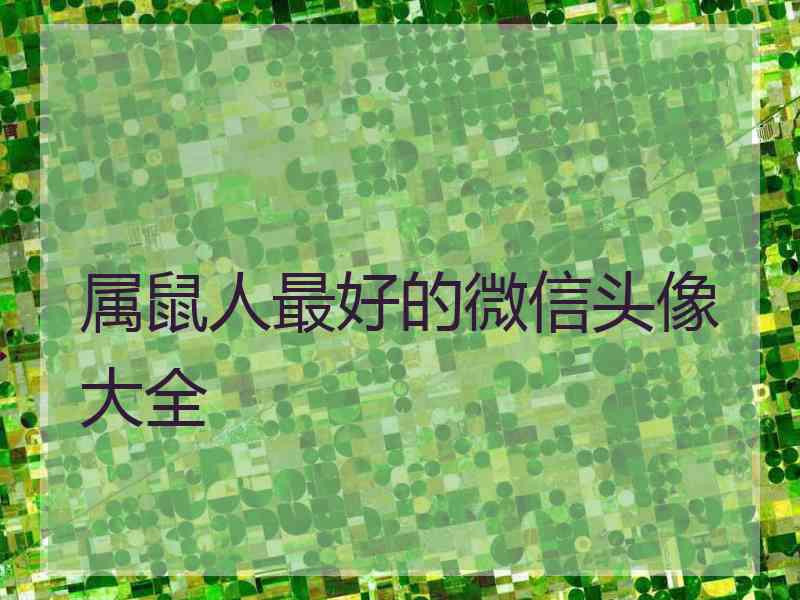 属鼠人最好的微信头像大全
