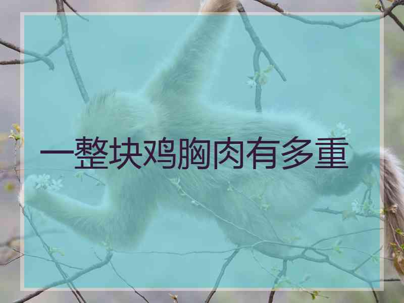 一整块鸡胸肉有多重