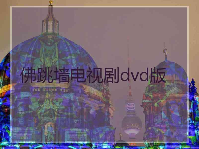 佛跳墙电视剧dvd版