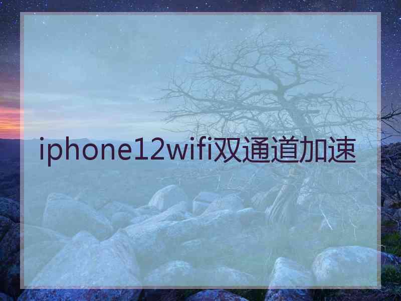 iphone12wifi双通道加速