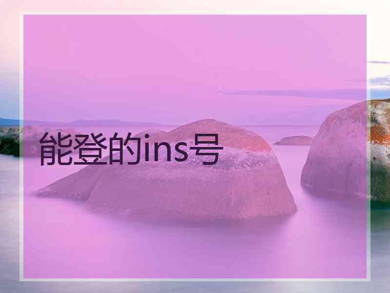 能登的ins号