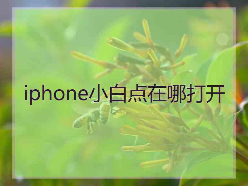iphone小白点在哪打开