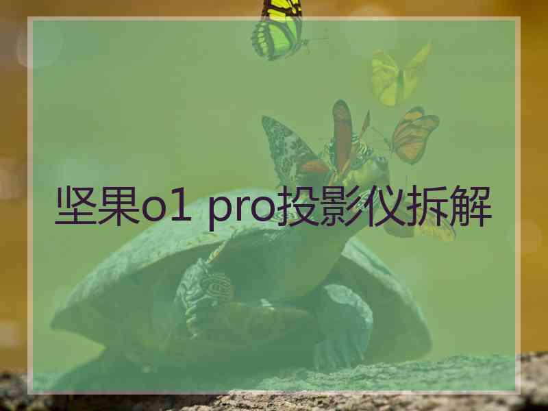 坚果o1 pro投影仪拆解