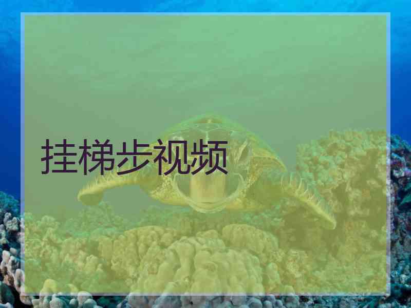 挂梯步视频