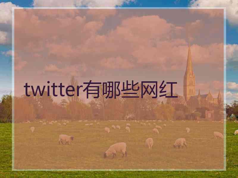 twitter有哪些网红