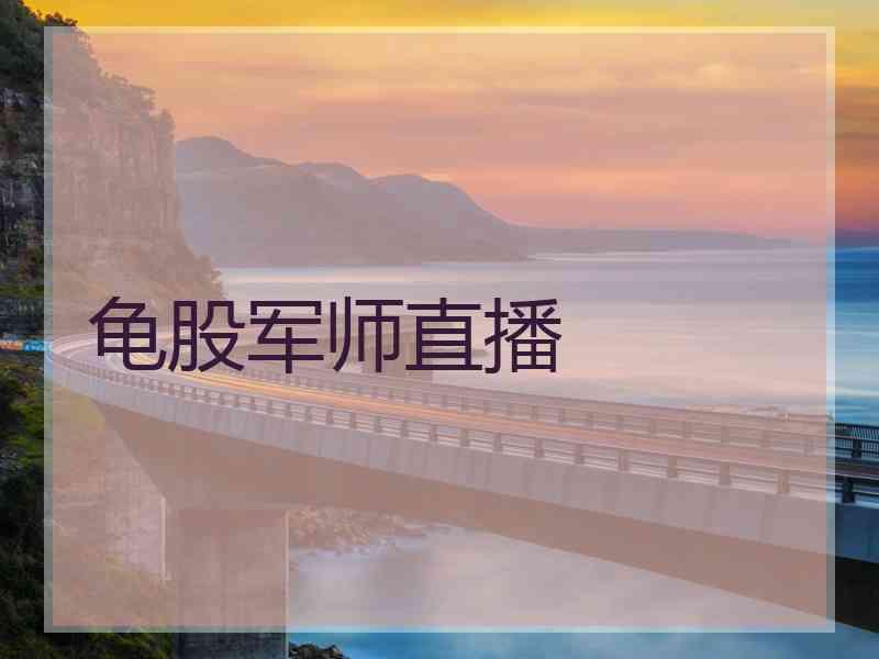 龟股军师直播