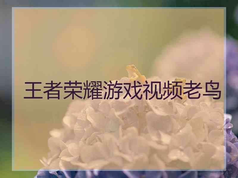 王者荣耀游戏视频老鸟