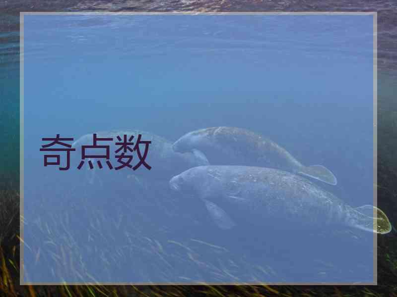 奇点数