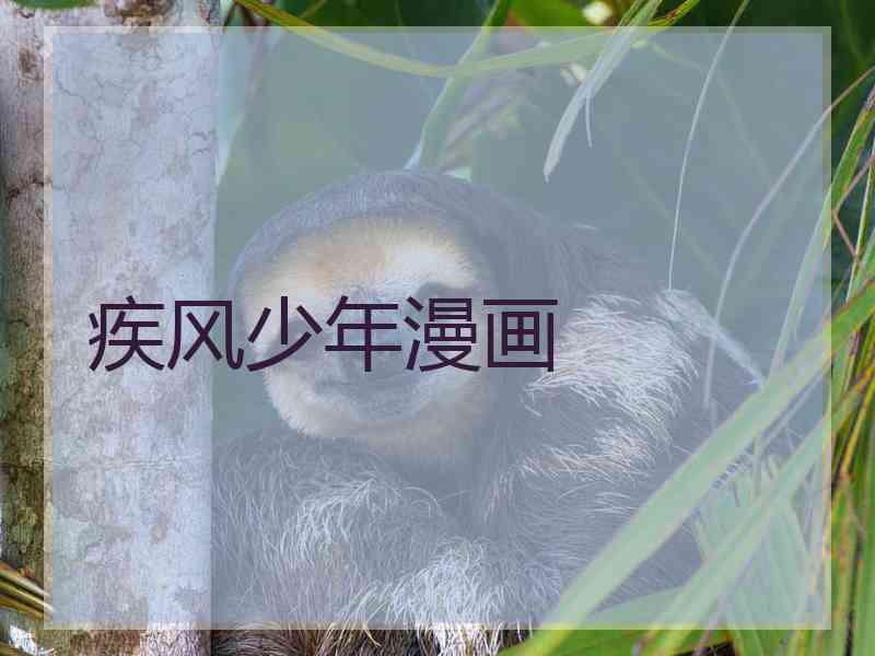 疾风少年漫画