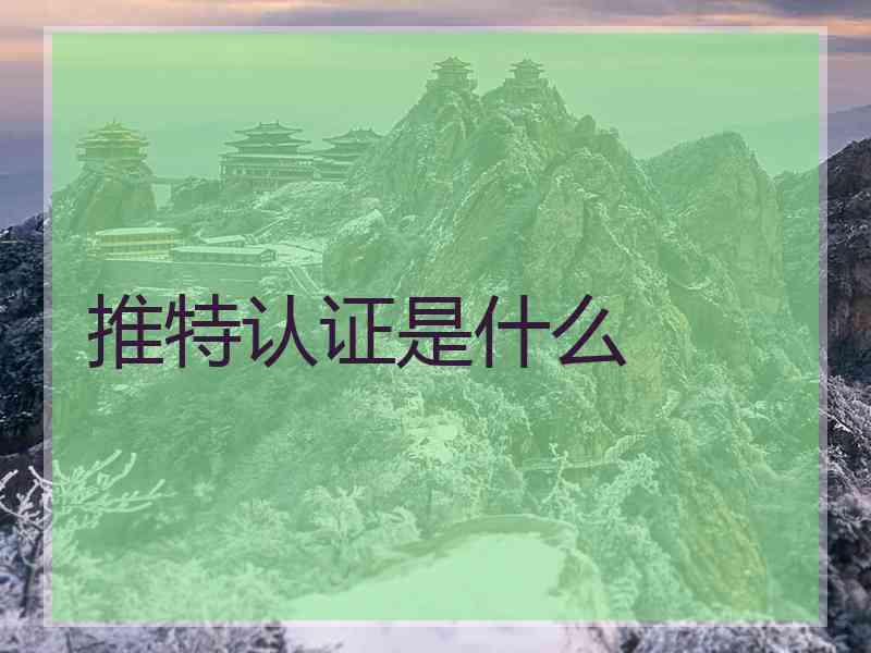 推特认证是什么