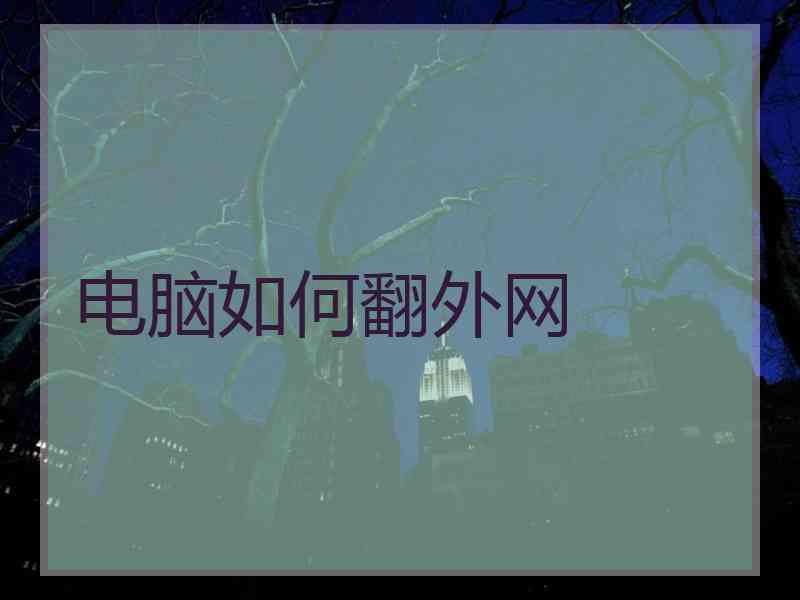 电脑如何翻外网