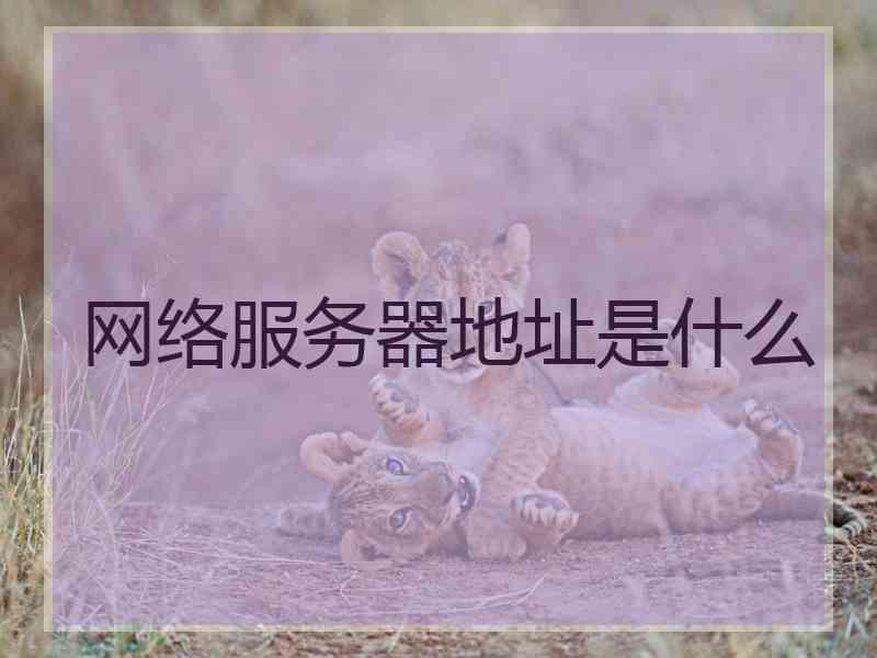 网络服务器地址是什么
