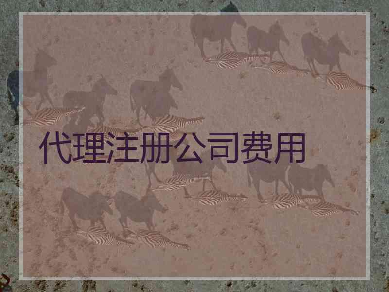 代理注册公司费用