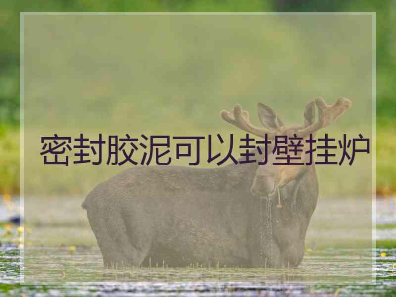 密封胶泥可以封壁挂炉