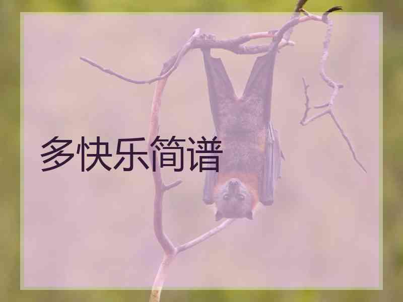 多快乐简谱