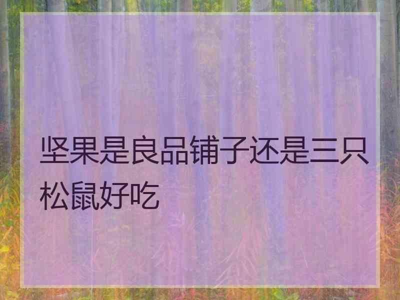 坚果是良品铺子还是三只松鼠好吃