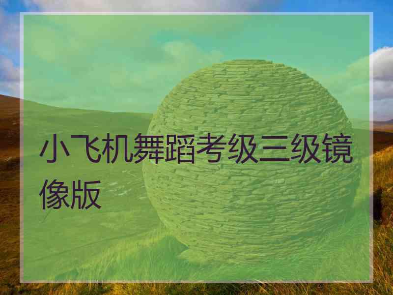 小飞机舞蹈考级三级镜像版