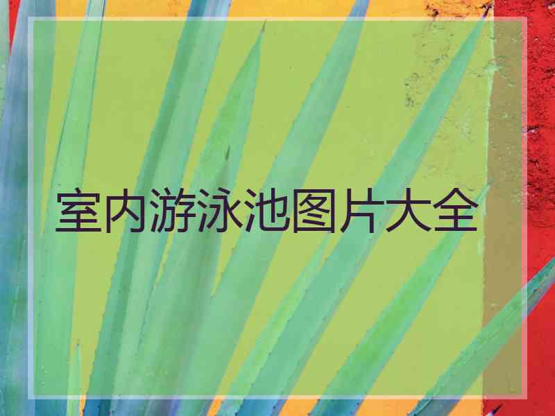 室内游泳池图片大全