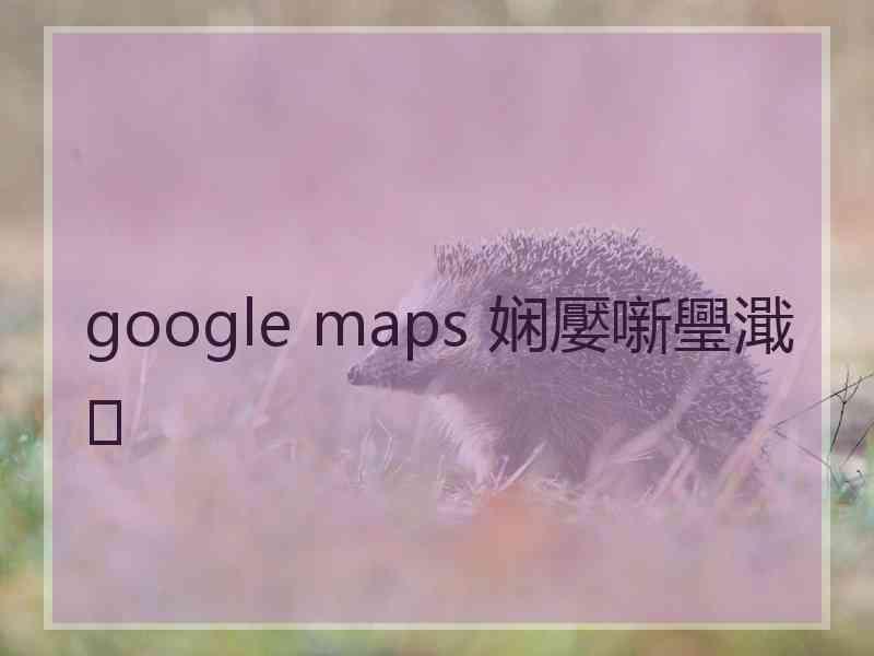 google maps 娴嬮噺璺濈