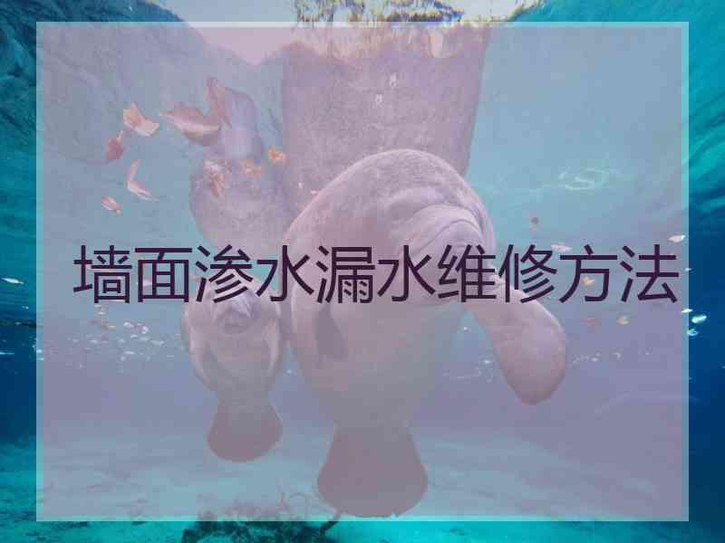 墙面渗水漏水维修方法