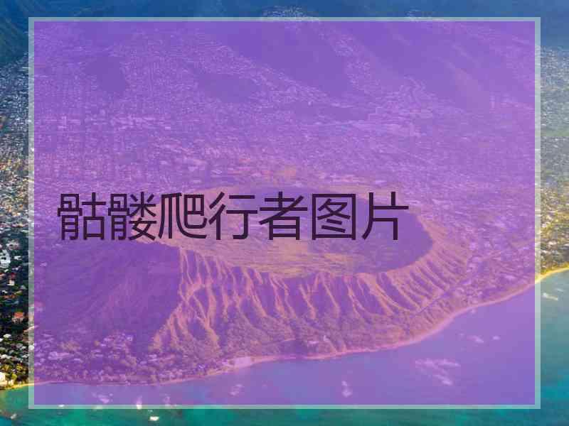 骷髅爬行者图片
