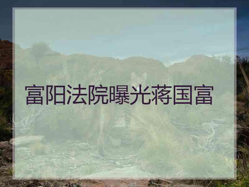 富阳法院曝光蒋国富