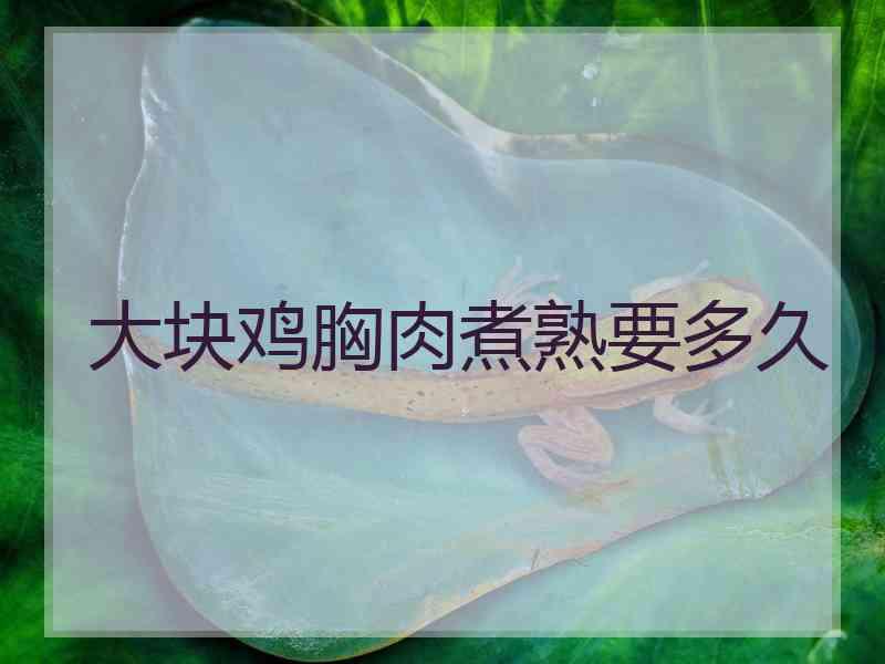 大块鸡胸肉煮熟要多久