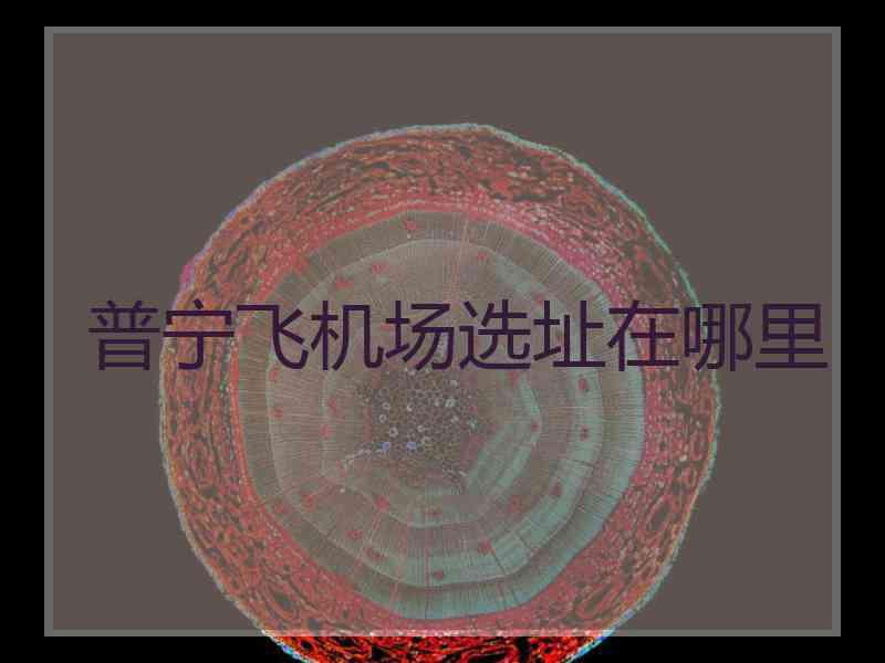普宁飞机场选址在哪里