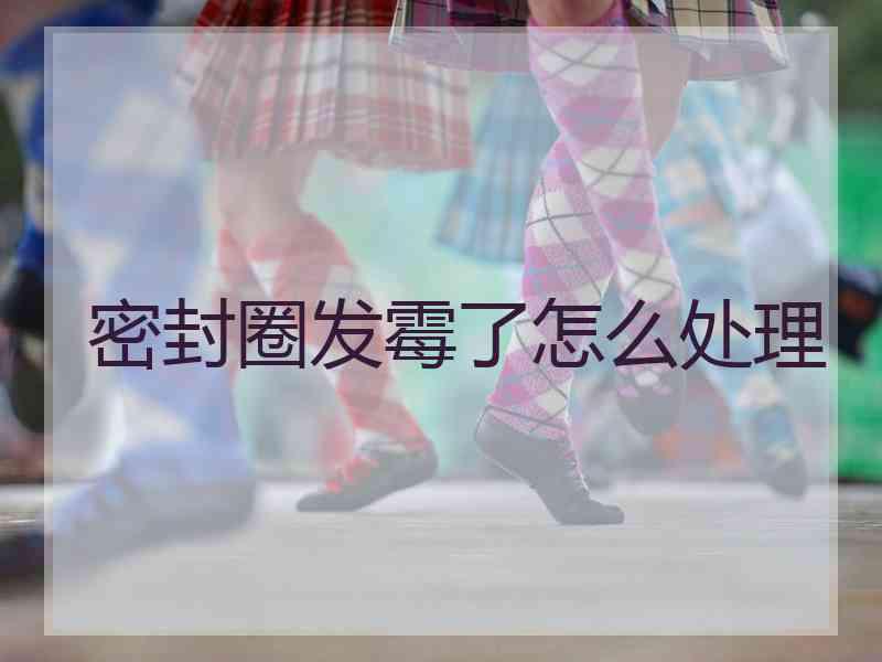 密封圈发霉了怎么处理