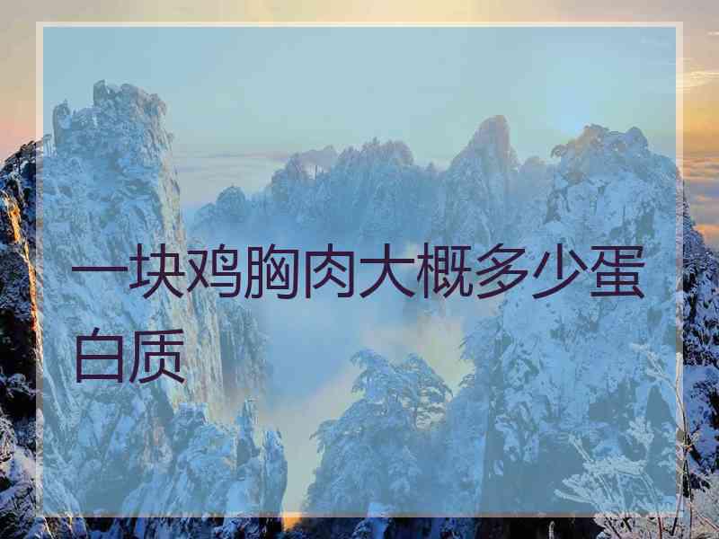 一块鸡胸肉大概多少蛋白质