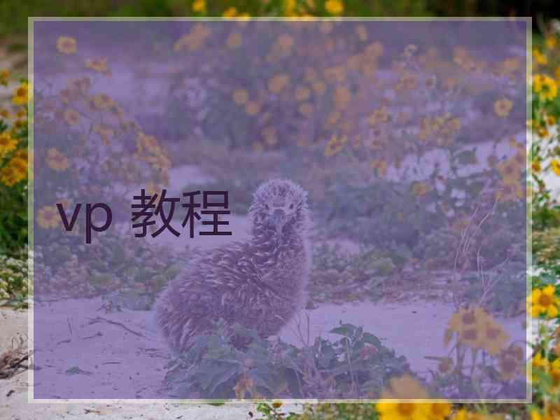 vp 教程