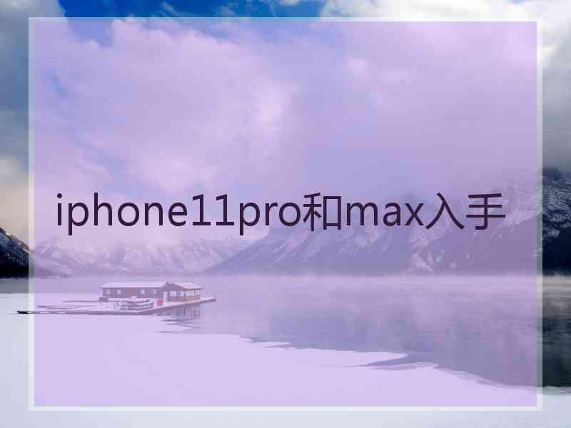 iphone11pro和max入手