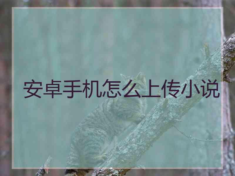 安卓手机怎么上传小说