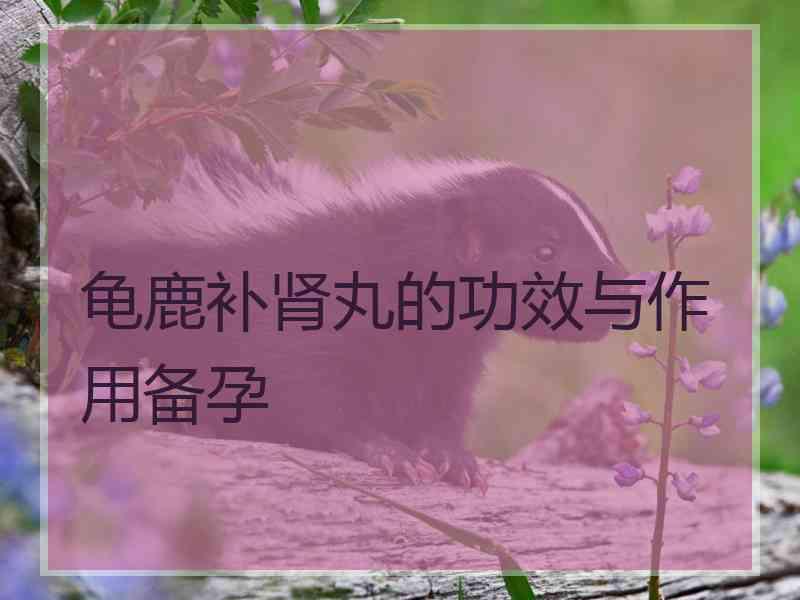 龟鹿补肾丸的功效与作用备孕