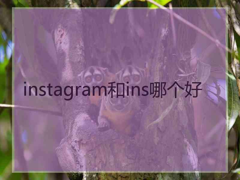 instagram和ins哪个好