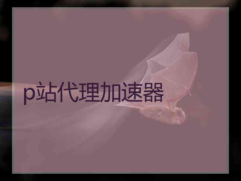 p站代理加速器