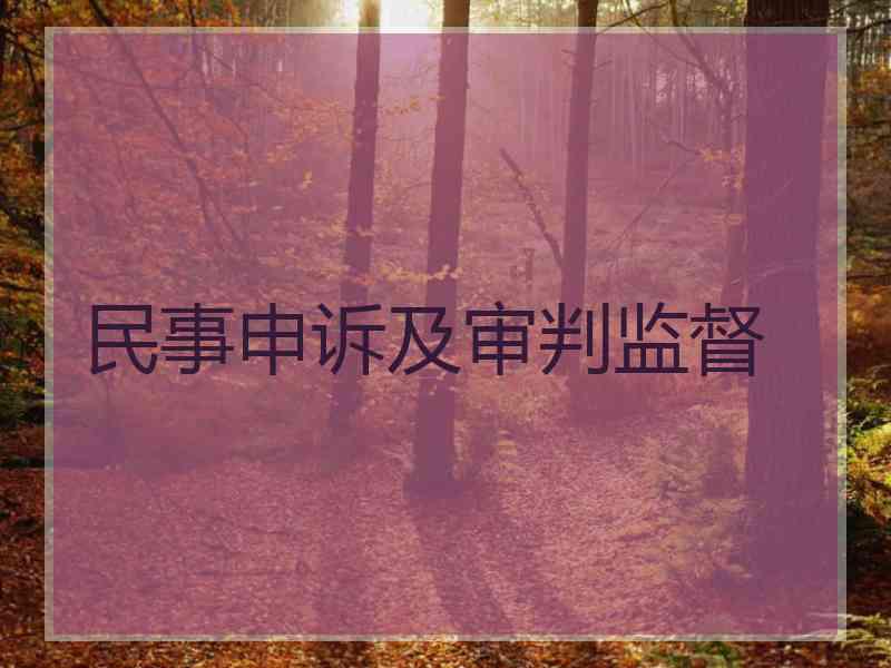民事申诉及审判监督