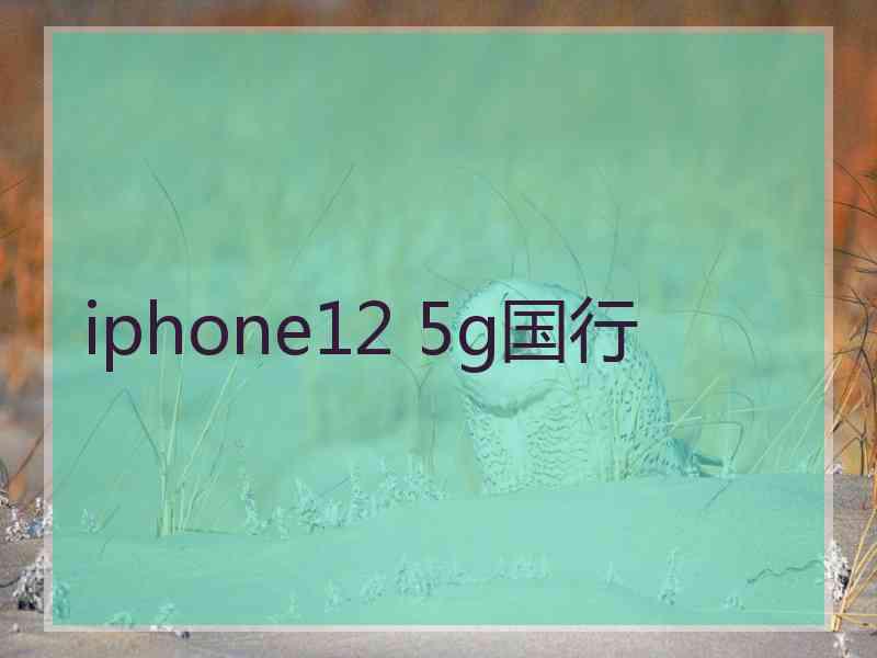 iphone12 5g国行