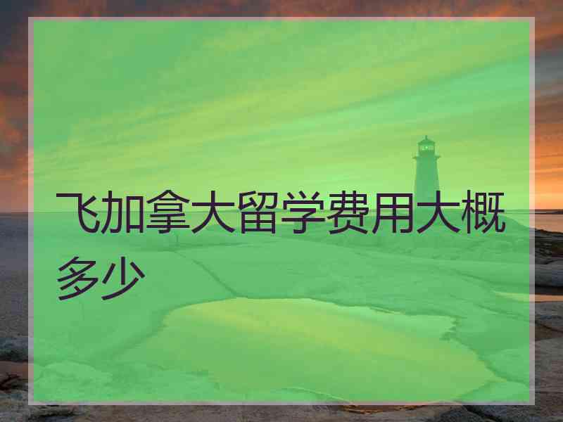 飞加拿大留学费用大概多少