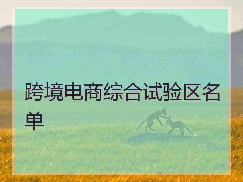 跨境电商综合试验区名单