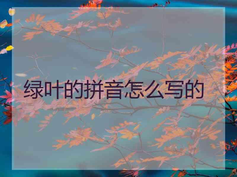 绿叶的拼音怎么写的