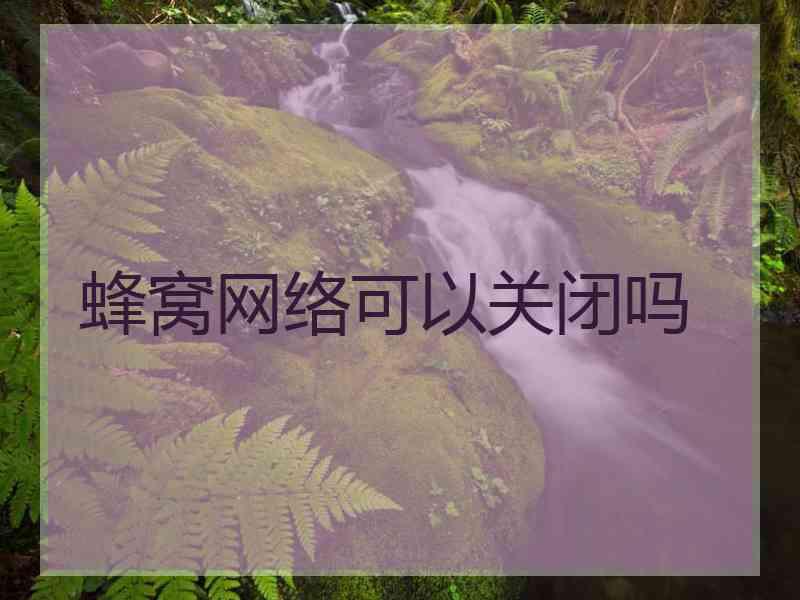 蜂窝网络可以关闭吗