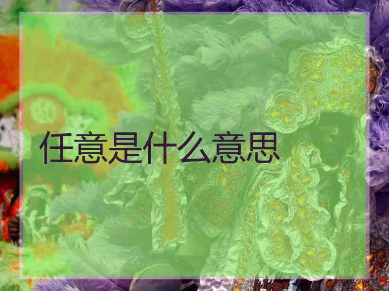 任意是什么意思