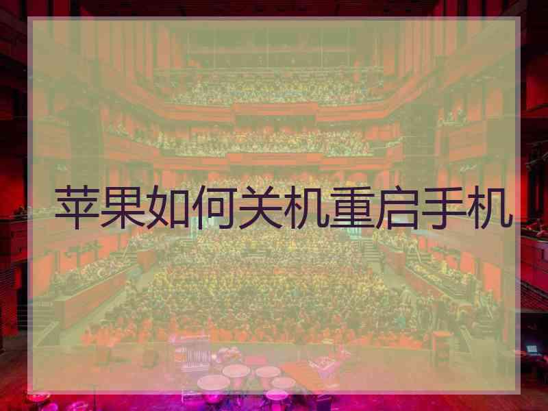 苹果如何关机重启手机