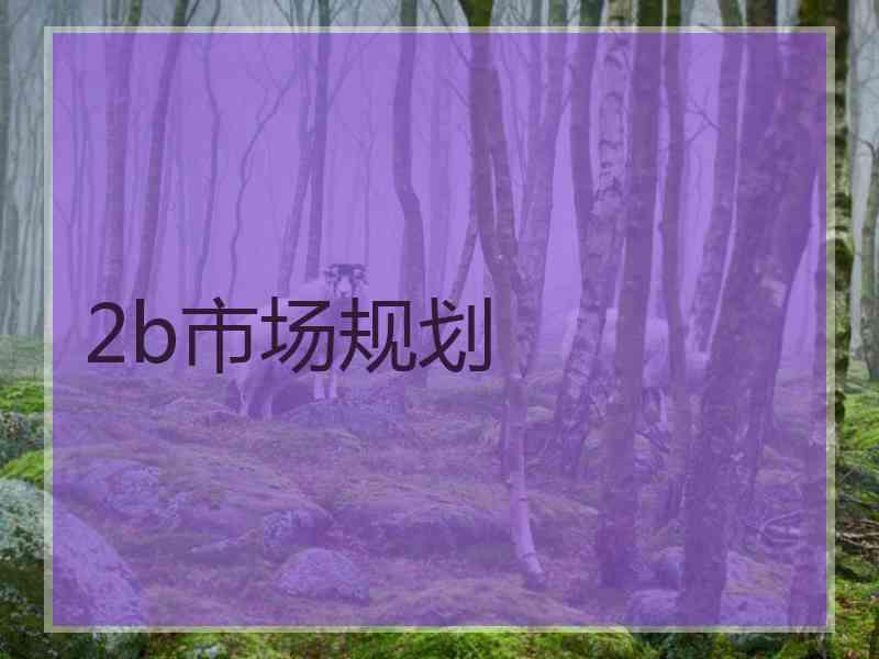 2b市场规划