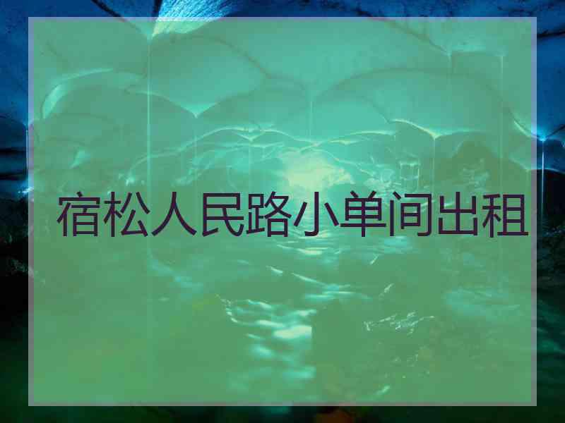 宿松人民路小单间出租