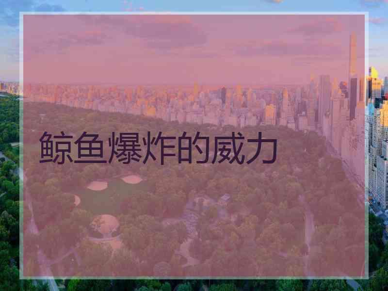 鲸鱼爆炸的威力