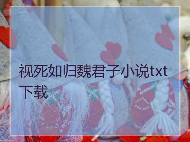 视死如归魏君子小说txt下载