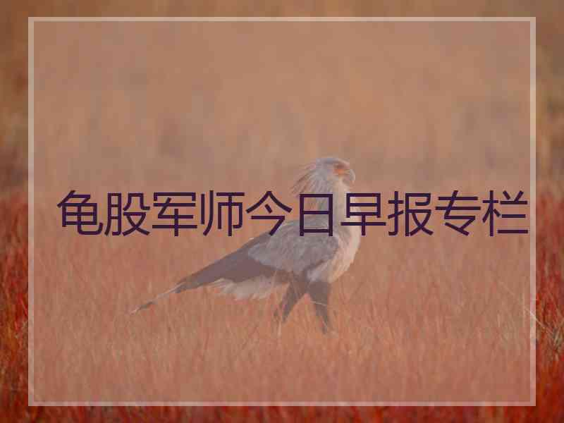 龟股军师今日早报专栏