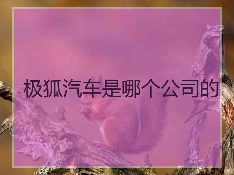 极狐汽车是哪个公司的